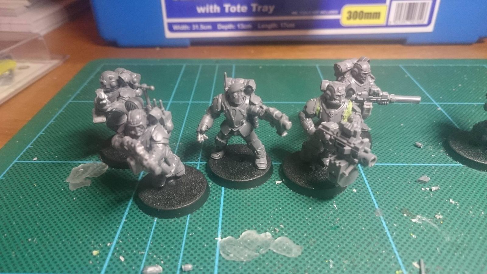 Bolter Scouts