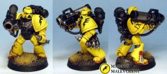 Devastator marine