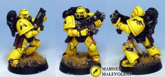 Devastator marine