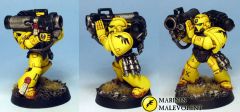 Devastator marine