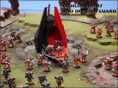 Force Sanguine - army pics -4