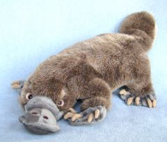 Don't mess with Plushy Platypus, sucka!