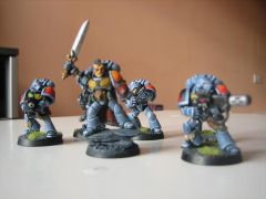 Grey Hunter Squad Eldgrim