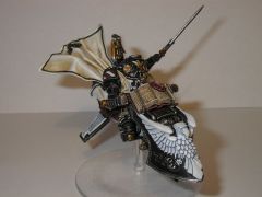 Master Ravenwing 5.jpg