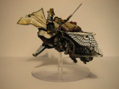 Master Ravenwing 2.jpg