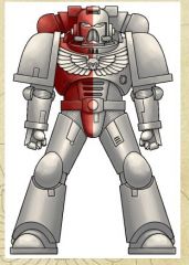 halfmarine.jpg