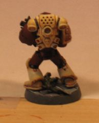 SJMarine2.jpg