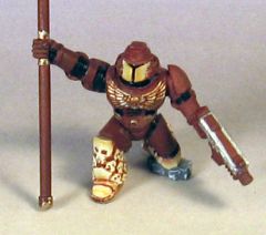 SJSB1.jpg