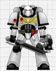 Assault Marine