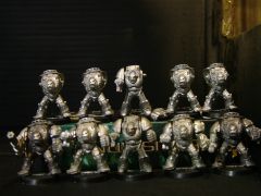 My Exo armoured Teminator Squads