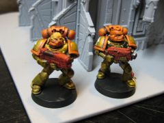 Lions of Terra Marines