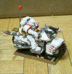Sarge - right.JPG