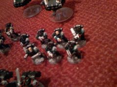 raven guard 011.jpg