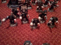 raven guard 014.jpg