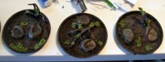 swampbase4a.jpg