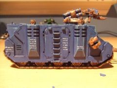 rhino4.jpg