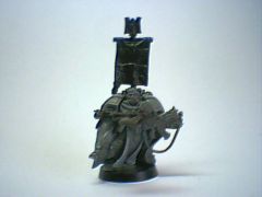 head5.jpg