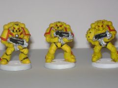 Imperial Fists Squad