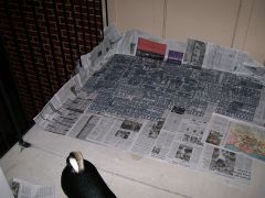 A Battleforce to paint - OMG.jpg