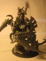 CarnRider07.jpg