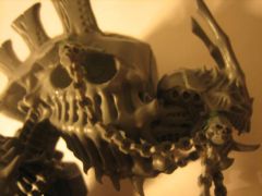CarnRider06.jpg