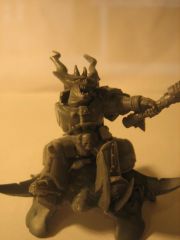 CarnRider05.jpg