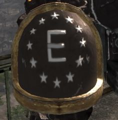 F3 Enclave Chapter Badge
