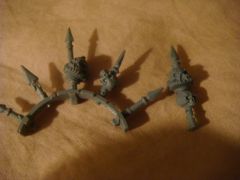 CSM spike sprues~converted!