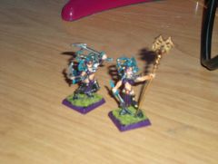 Witch Elf Conversions