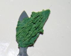 DSC00832.JPG