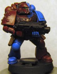 BC Bolter2 May 09.jpg