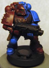 BC Bolter May 09.jpg