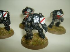 black templars 1 005.JPG