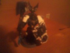 emperors champion