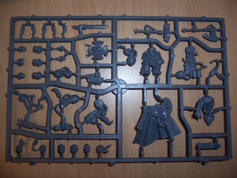 Space Wolves WG Sprue pics