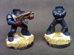sternguard set 2.jpg