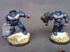 sternguard combis.jpg