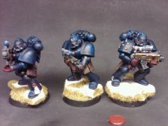 sternguard set 2 done.jpg