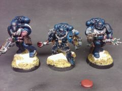 sternguard specials.jpg