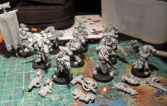 Grey Hunter WIP