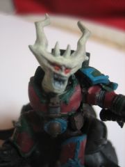 CarnRider09.jpg