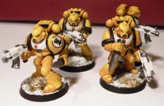 Imperial Fists Quartet