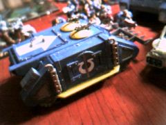 cap_006.jpg