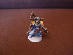 Vangaurd Veteran with Power Weapon