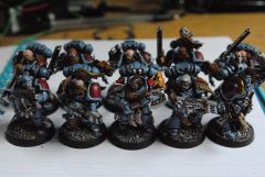 Completed Grey Hunters Squad