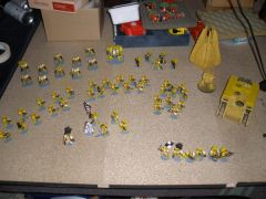 Yellow Marines