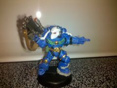 Sternguard Veteran, front