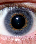 eye2.jpg