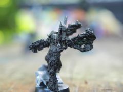 Raptor Pose 1 face.jpg