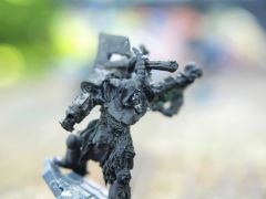 Raptor Pose 1 close.jpg